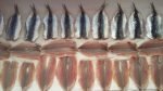 anchoa-secado