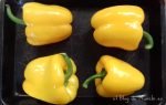 pimientos-amarillos-crudos