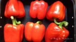 pimientos-rojos-crudos