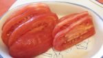Anchoa-Tomate