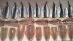 Anchoa-secado